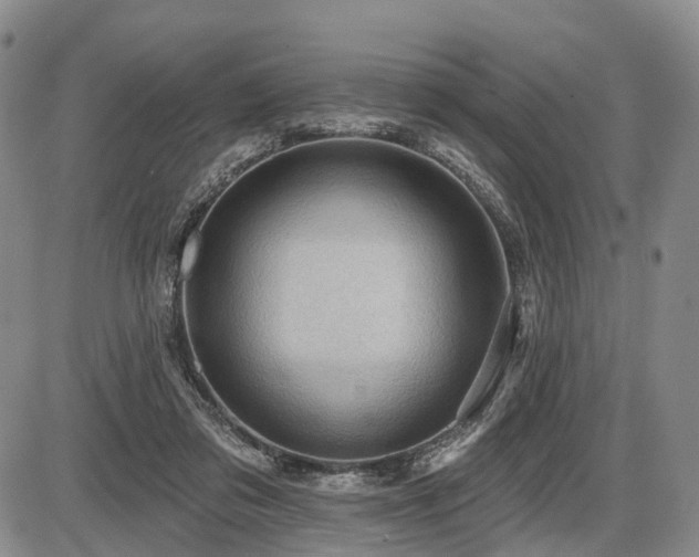 X0000087590309200704271314