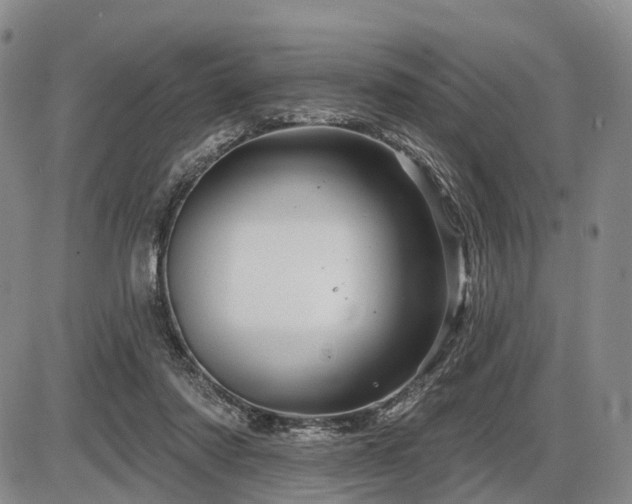 X0000087590310200704271314