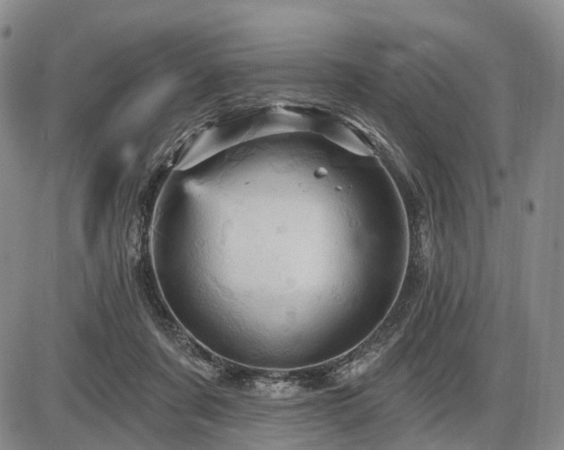 X0000087590311200704271314