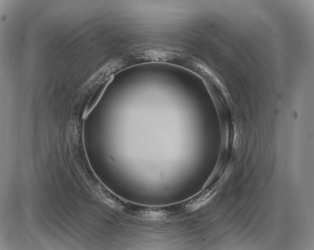 X0000087590313200704271314