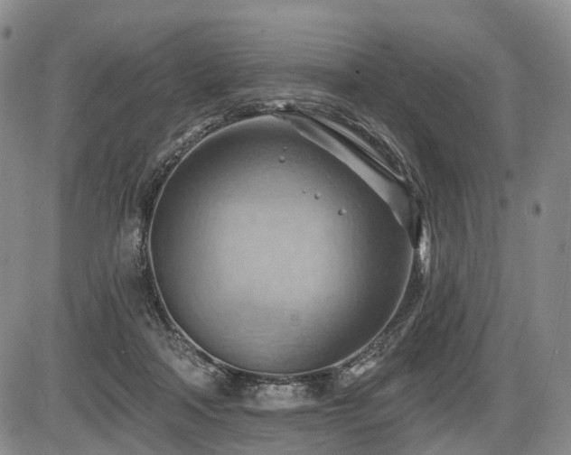 X0000087590314200704271314