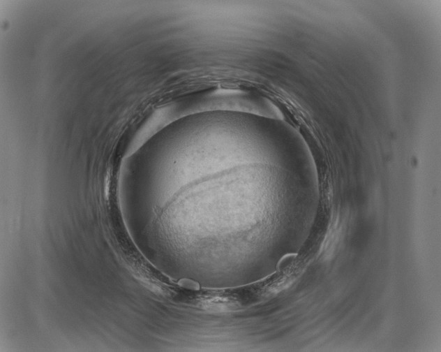 X0000087590315200704271314