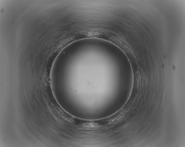 X0000087590316200704271314