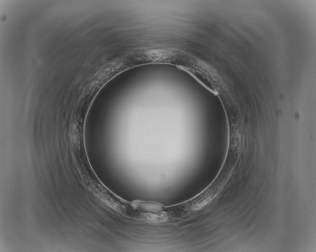 X0000087590317200704271314