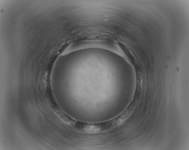 X0000087590319200704271314