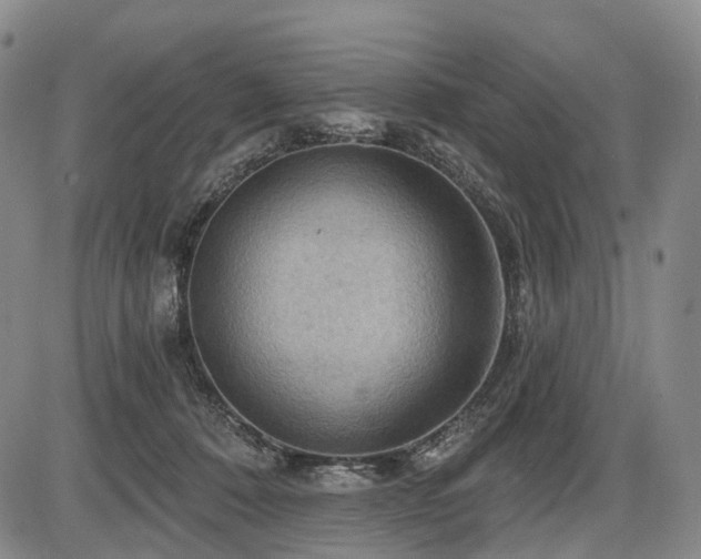 X0000087590320200704271314