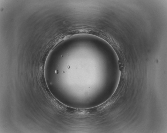 X0000087590321200704271314