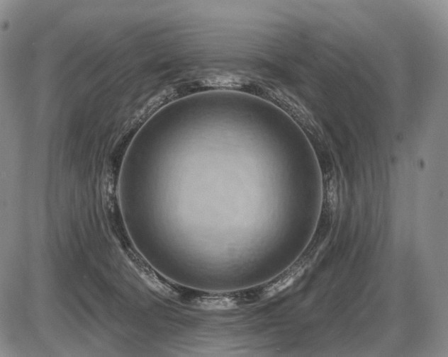 X0000087590322200704271314