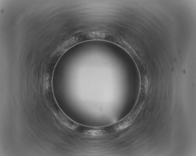 X0000087590323200704271314