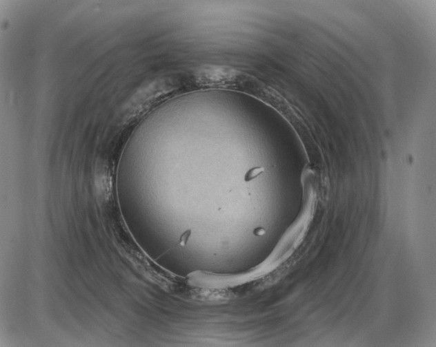 X0000087590324200704271314