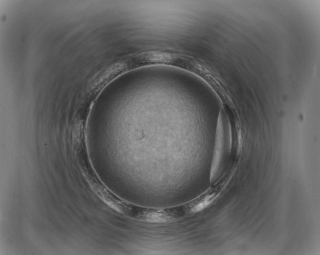 X0000087590325200704271313