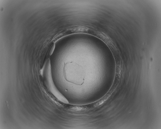 X0000087590326200704271313