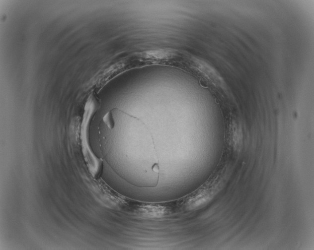 X0000087590328200704271313