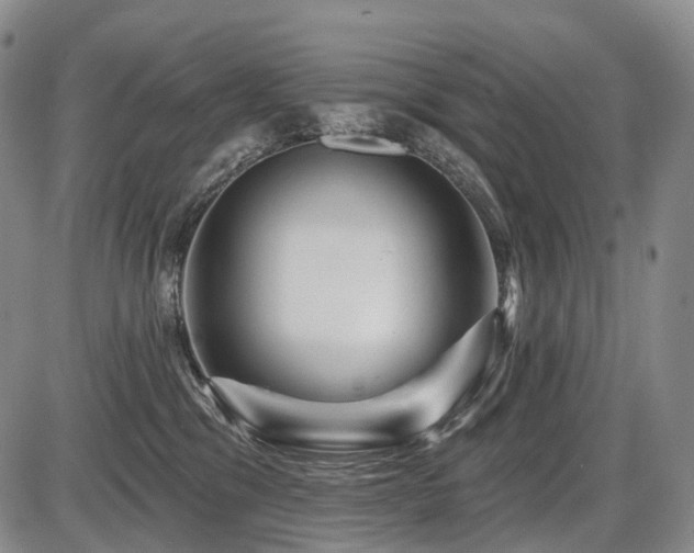 X0000087590329200704271313