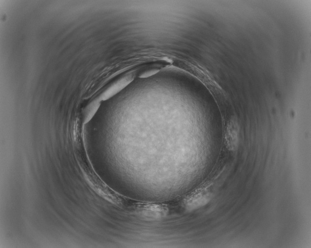 X0000087590330200704271313