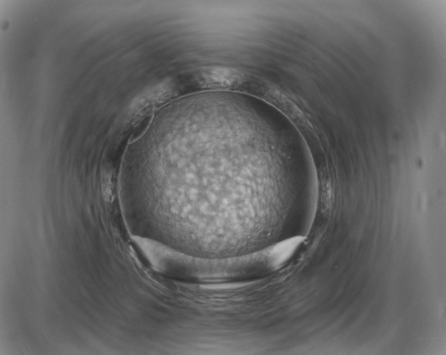 X0000087590331200704271313