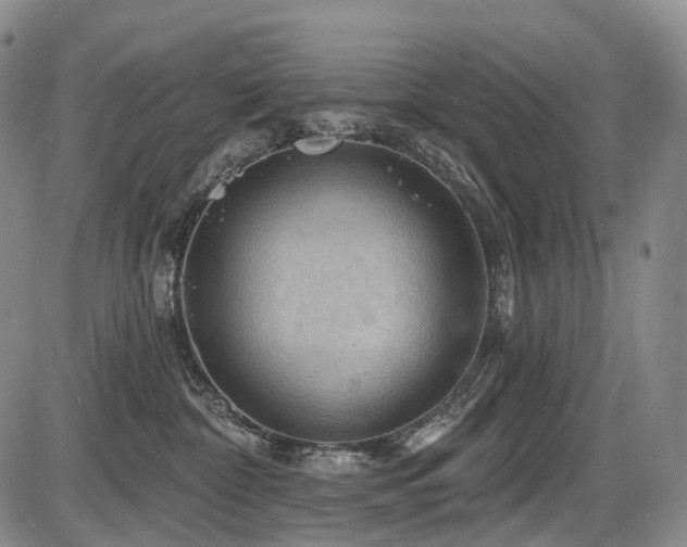 X0000087590332200704271313