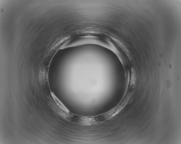 X0000087590333200704271313