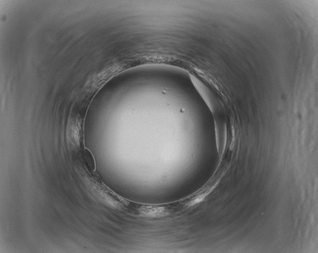 X0000087590334200704271313