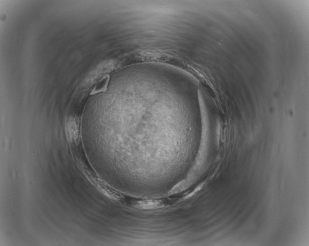 X0000087590335200704271313