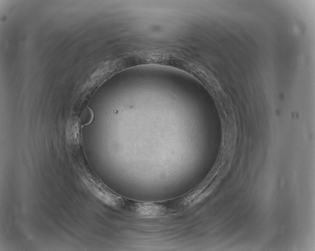 X0000087590336200704271313