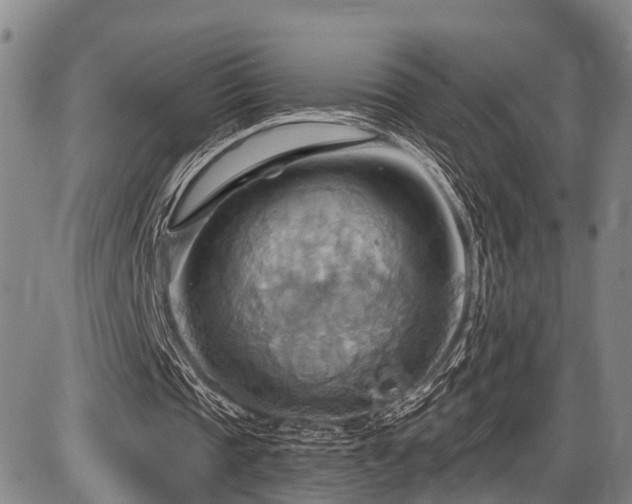 X0000087590337200704271313