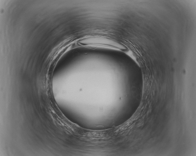 X0000087590338200704271313