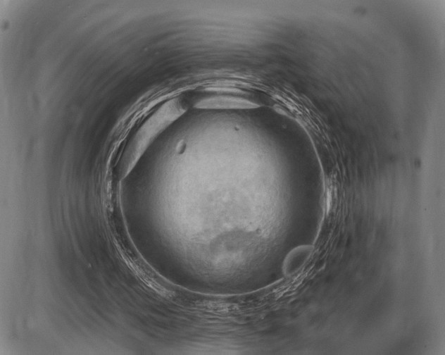 X0000087590339200704271313