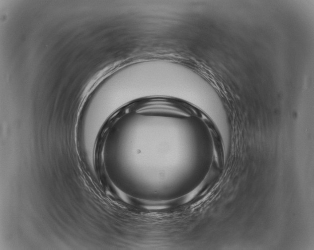 X0000087590340200704271313