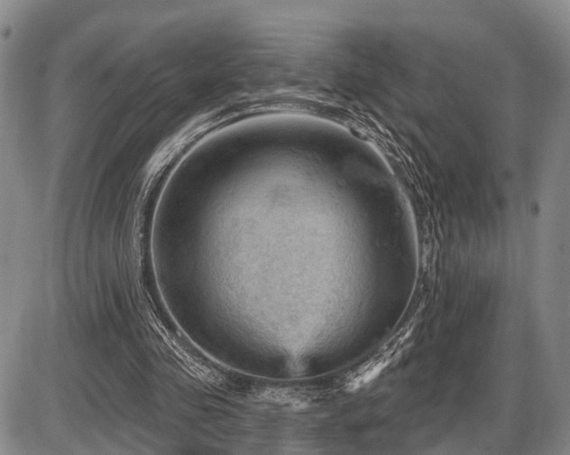 X0000087590341200704271313