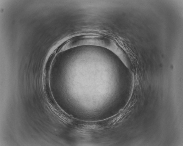 X0000087590342200704271313