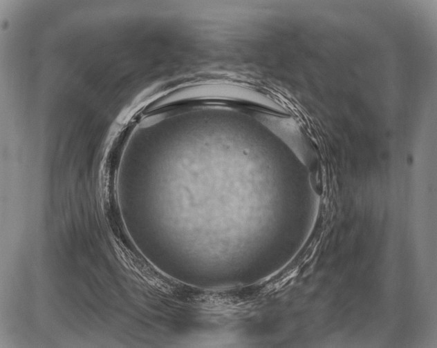 X0000087590343200704271313