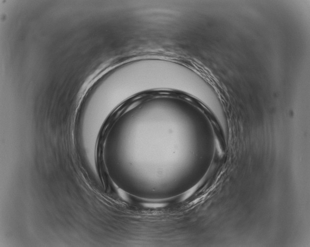 X0000087590344200704271313