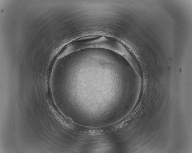 X0000087590345200704271313