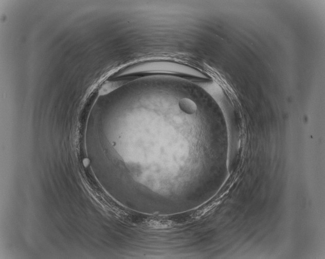 X0000087590346200704271313