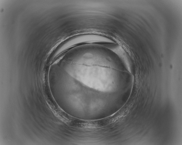 X0000087590347200704271313