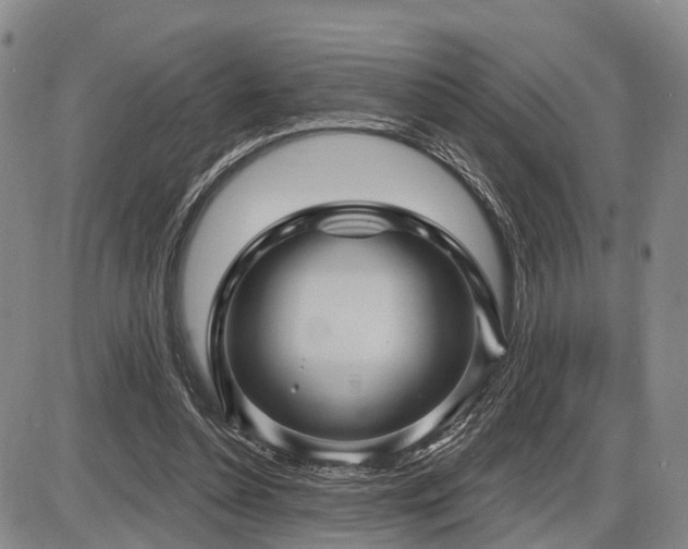 X0000087590348200704271313