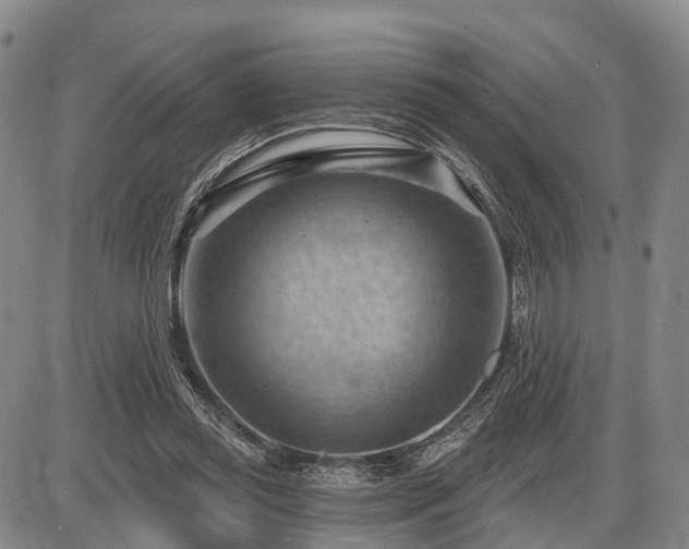 X0000087590349200704271313