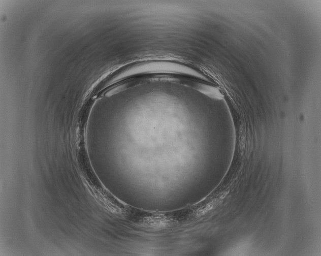 X0000087590351200704271313