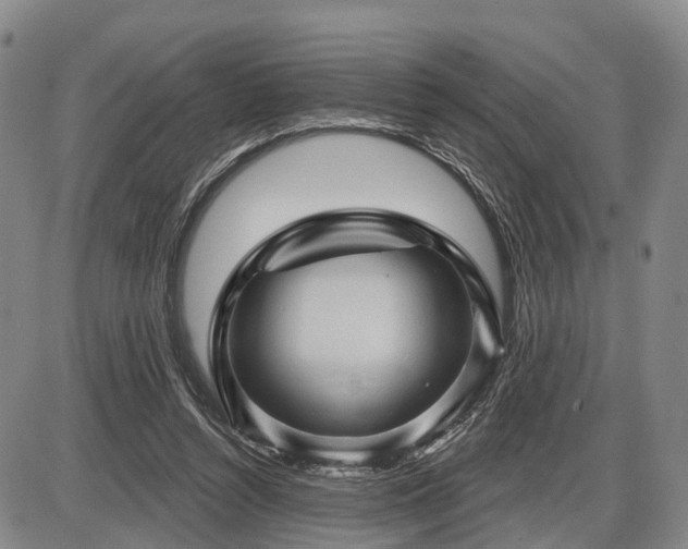 X0000087590352200704271313