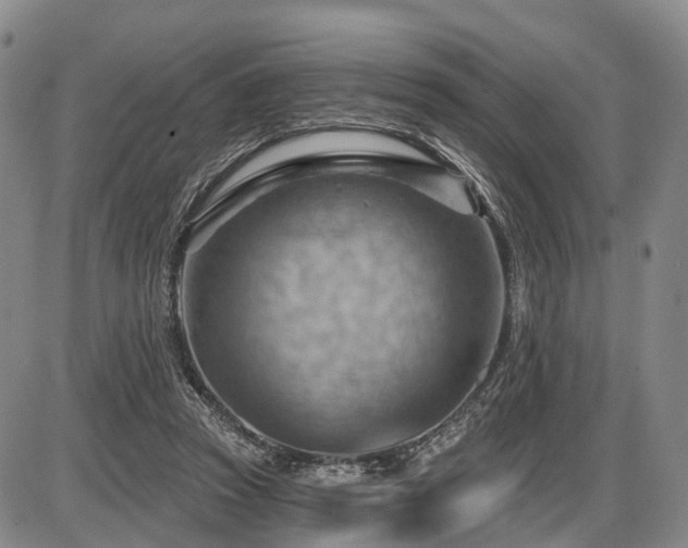 X0000087590353200704271313