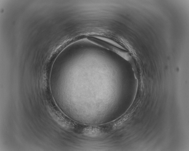 X0000087590354200704271313