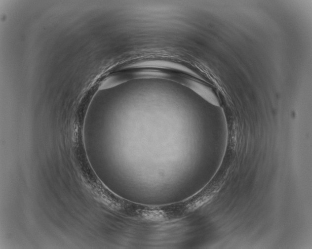 X0000087590355200704271313