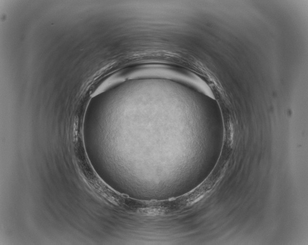 X0000087590356200704271313