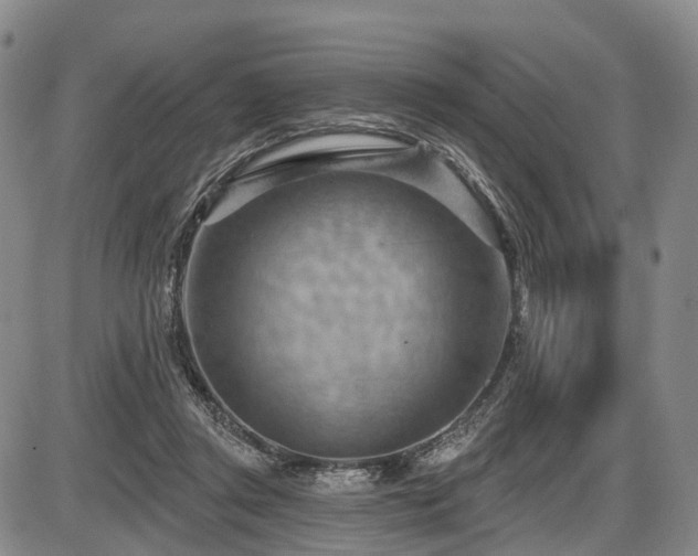 X0000087590357200704271313