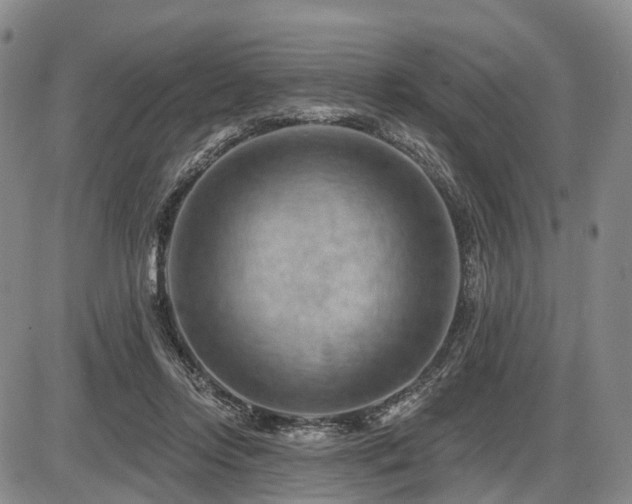 X0000087590358200704271313