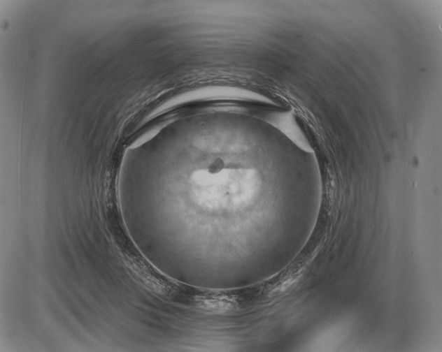 X0000087590359200704271313