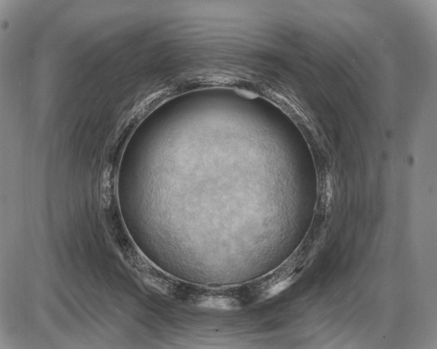 X0000087590360200704271313