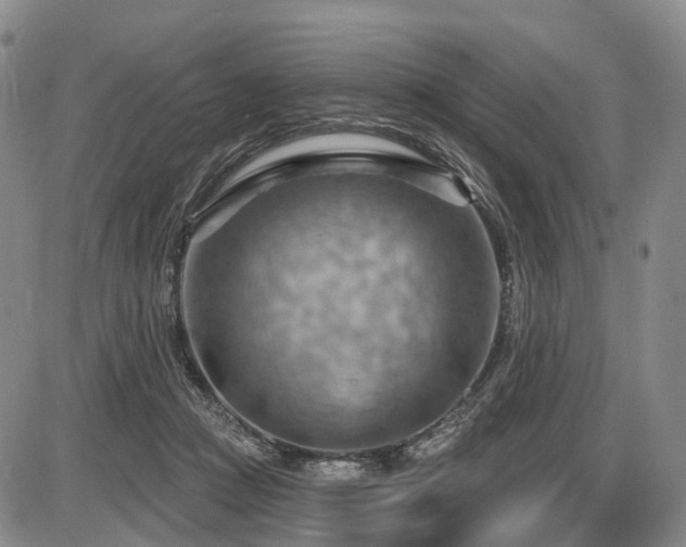 X0000087590361200704271313