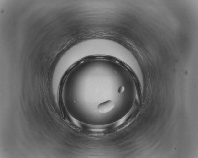 X0000087590362200704271313